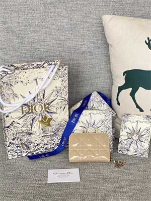 cd  voyageur small coin purse S*pple cannage patent calfskin beige s0985