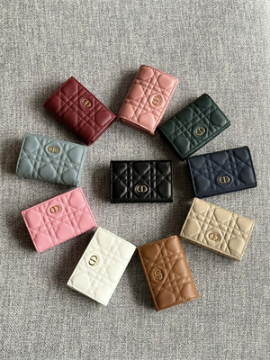 cd caro glycine wallet S*pple cannage calfskin s5132