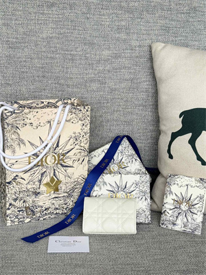 cd caro glycine wallet S*pple cannage calfskin s5132