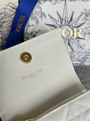 cd caro glycine wallet S*pple cannage calfskin s5132