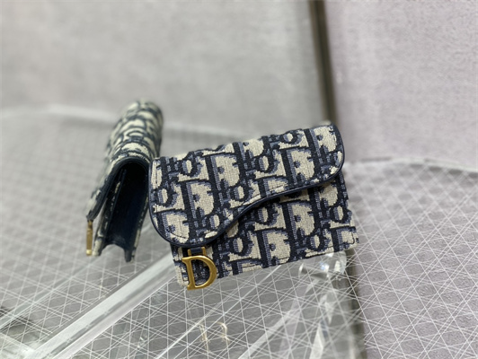 cd saddle coin purse blue D*or oblique jacquard