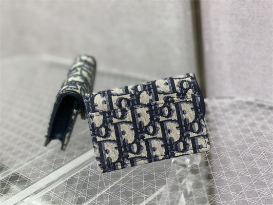 cd saddle coin purse blue D*or oblique jacquard