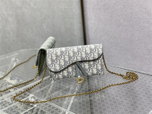 CD Long Saddle Wallet With Chain Gray Oblique Jacquard