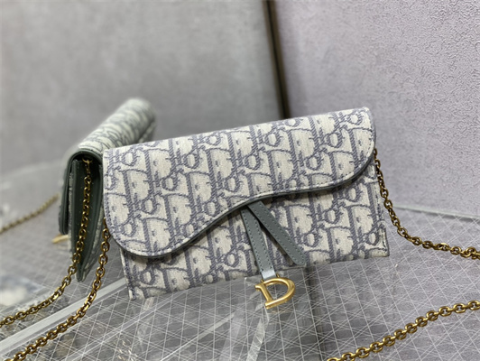 CD Long Saddle Wallet With Chain Gray Oblique Jacquard