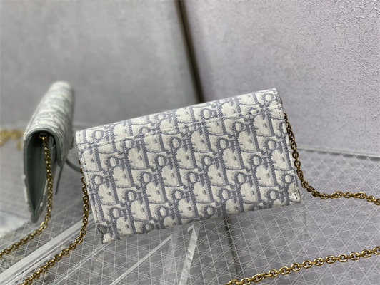 CD Long Saddle Wallet With Chain Gray Oblique Jacquard