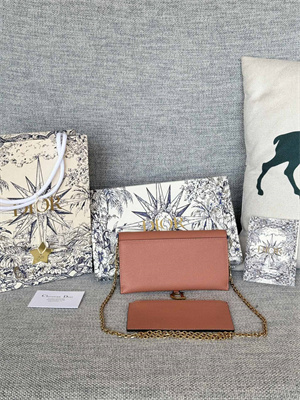 CD Long Saddle Wallet With Chain Grained Calfskin Brown