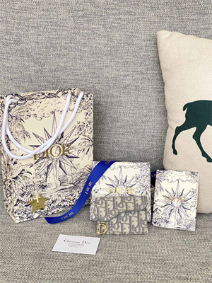 cd saddle card holder gray D*or oblique jacquard s5610