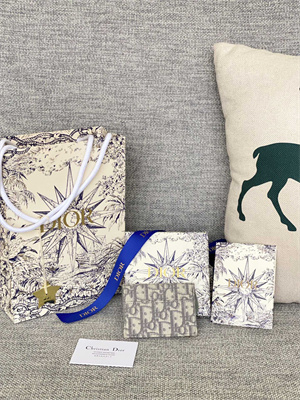 cd saddle card holder gray D*or oblique jacquard s5610