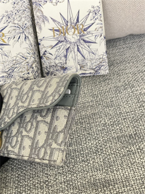 cd saddle card holder gray D*or oblique jacquard s5610