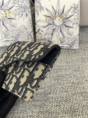 cd saddle card holder blue D*or oblique jacquard s5610