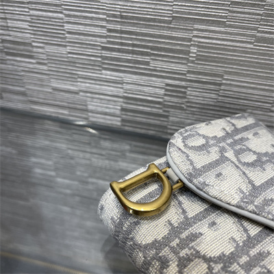 cd saddle lotus wallet gray D*or oblique jacquard