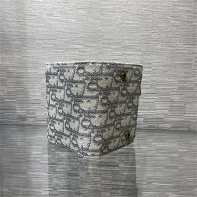 cd saddle lotus wallet gray D*or oblique jacquard