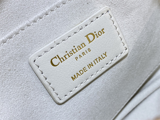 cd small D*or caro top handle camera bag macrocannage calfskin latte