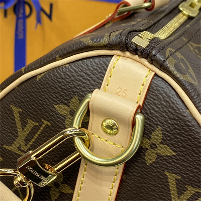 L.V Speedy Bandoulière 25 Monogram Canvas M41113