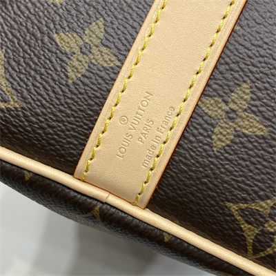L.V Speedy Bandoulière 25 Monogram Canvas M41113