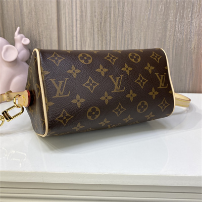L.V Speedy Bandoulière 20 Monogram Canvas M46222