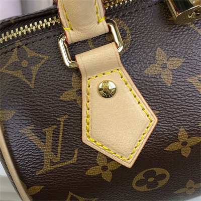 L.V Speedy Bandoulière 20 Monogram Canvas M46222