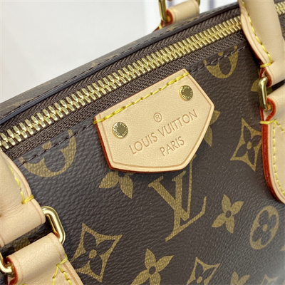 L.V Turenne PM Bag Monogram Canvas M48813