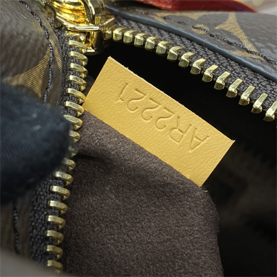 LV Side Trunk PM Bag Monogram Canvas M46815