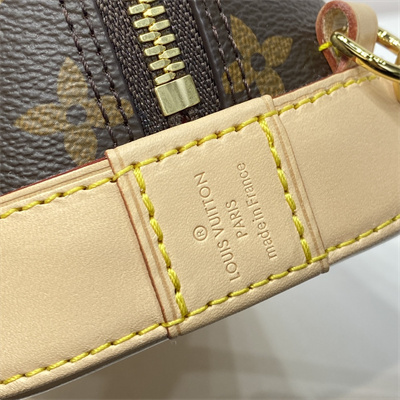 L.V Alma Backpack Monogram Coated Canvas M47132