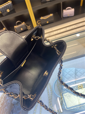 Cha.nel BUCKET BAG Grained Calfskin Gold-Tone Metal Black AS3176