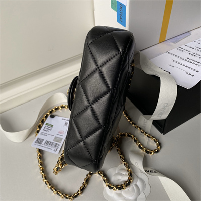 Ch*el mini flap bag with top handle lambskin, resin & gold-tone metal black color as4847