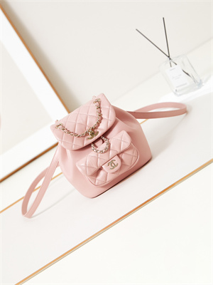 Cha.nel Duma Backpack Lambskin Gold Tone Metal Pink AS2908