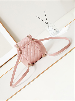 Cha.nel Duma Backpack Lambskin Gold Tone Metal Pink AS2908