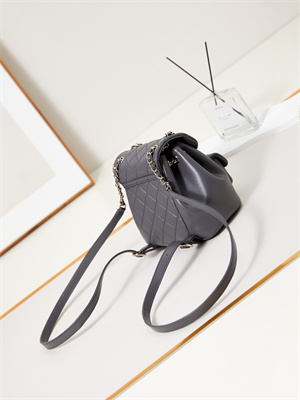Cha.nel Duma Backpack Lambskin Gold Tone Metal Grey AS2908