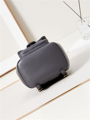 Cha.nel Duma Backpack Lambskin Gold Tone Metal Grey AS2908