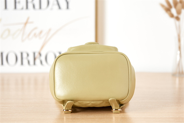 Cha.nel Duma Backpack Lambskin Gold Tone Metal Yellow AS2908