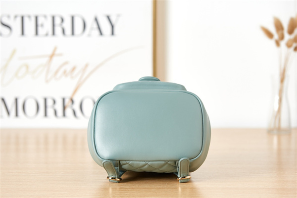 Cha.nel Duma Backpack Lambskin Gold Tone Metal Green AS2908