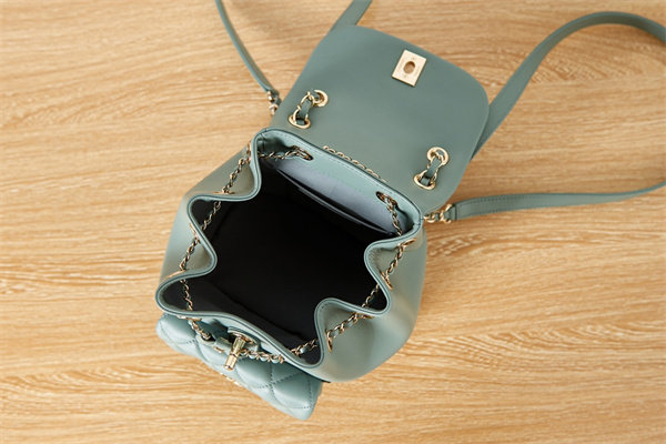 Cha.nel Duma Backpack Lambskin Gold Tone Metal Green AS2908