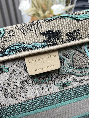 cd medium D*oriviera D*or book tote raffia with aquamarina toile de jouy sauvage embroidery green