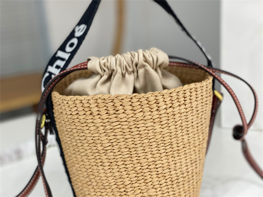 Chloe Small Woody Tote Bag In Nature Fibers 6865