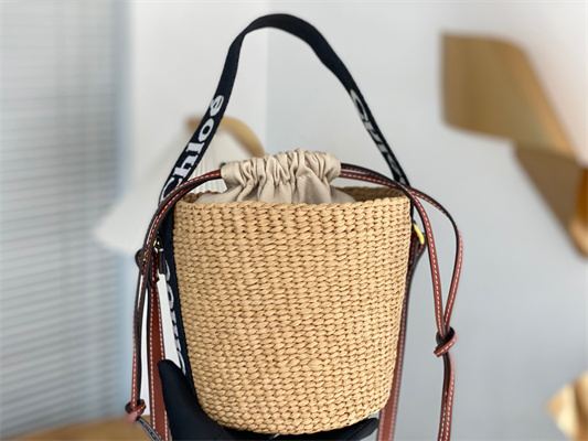 Chloe Small Woody Tote Bag In Nature Fibers 6865