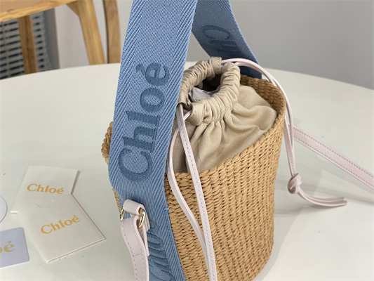 Chloe Small Woody Tote Bag In Nature Fibers 6865