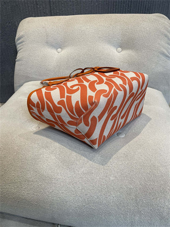 Her.mes Steeple Handbag Hplume Canvas and Swift Calfskin multicolor Printing HS