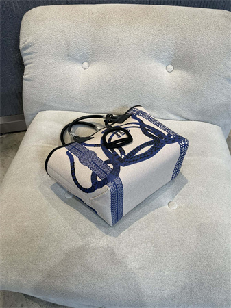 Her.mes Steeple Handbag Hplume Canvas and Swift Calfskin multicolor Printing HS