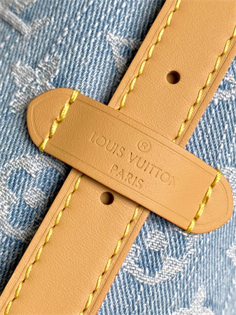 LV CarryAll PM Bag Monogram Denim Sky Blue M11462