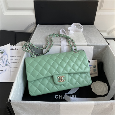 Ch*el medium classic flap bag lambskin silver tone metal lt green 01112