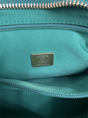 Ch*el small hobo bag shiny lambskin gold tone metal green as4922