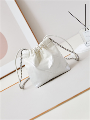 Ch*el 22 mini handbag shiny calfskin silver tone metal white as3980