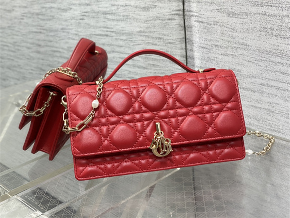 cd miss D*or mini top handle bag cannage lambskin