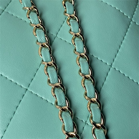 Ch*el backpack shiny lambskin gold tone metal green as4810