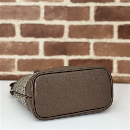 G*u*i ophidia mini tote bag 811716