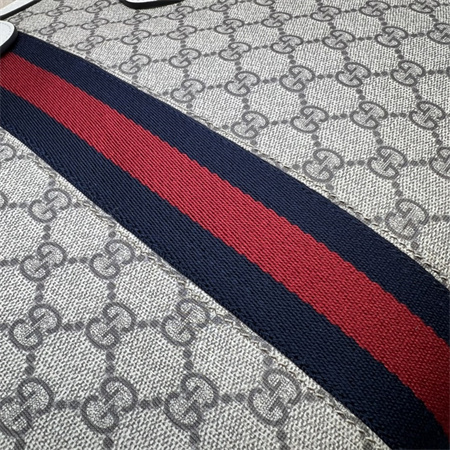 gu.cci ophidia  gg medium tote bag S*p*e canvas 631685