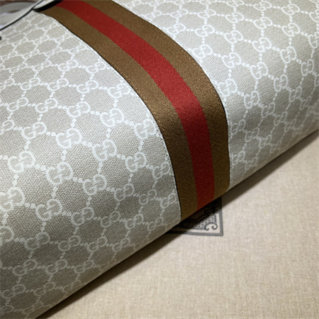 gu.cci ophidia  gg medium tote bag S*p*e canvas 631685