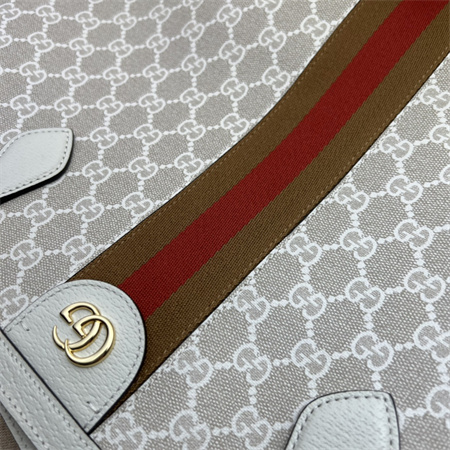 gu.cci ophidia  gg medium tote bag S*p*e canvas 631685