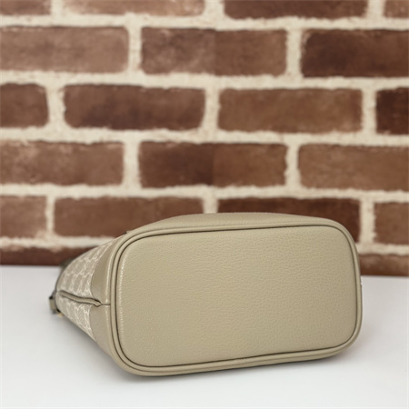 G*u*i ophidia mini tote bag  811716